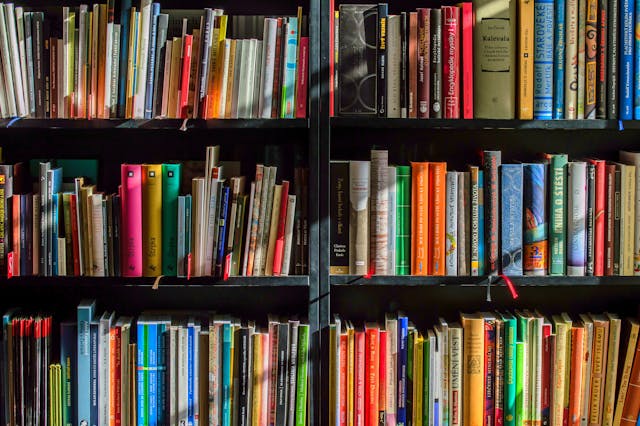 rak buku